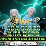 TigerWin388 Slot QRIS Online Server Stabil Terbaik